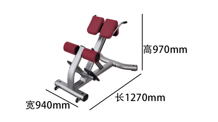 力健背部伸展練習器2-1.jpg